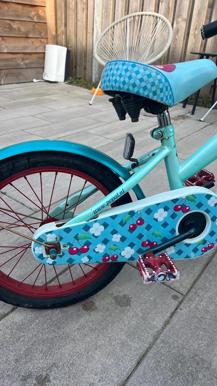 Stoere meisjesfiet cruiser model 16 inch