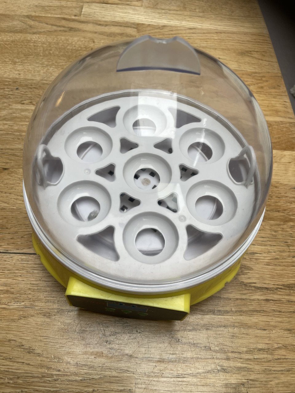 Te Koop Leuke broedmachine voor 7 eieren.