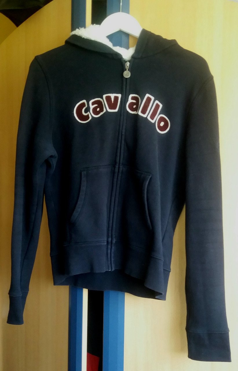 Cavallo vest sweater 42
