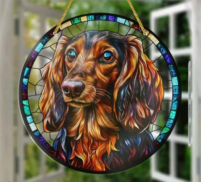 Raamhanger teckel ( ruwhaar teckel )