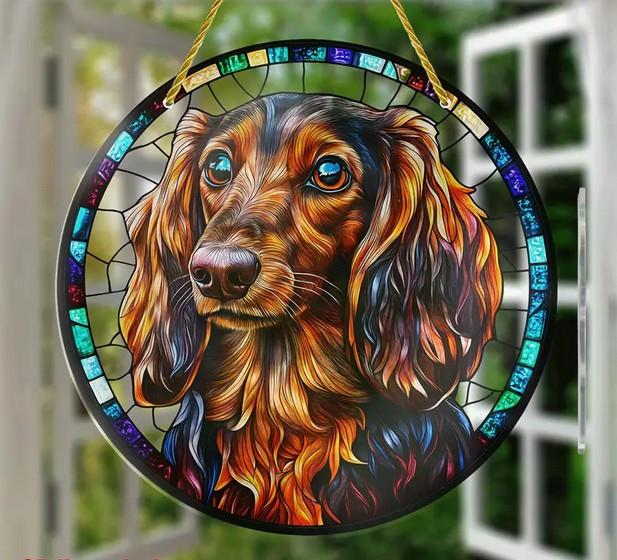 Raamhanger teckel ( ruwhaar teckel )