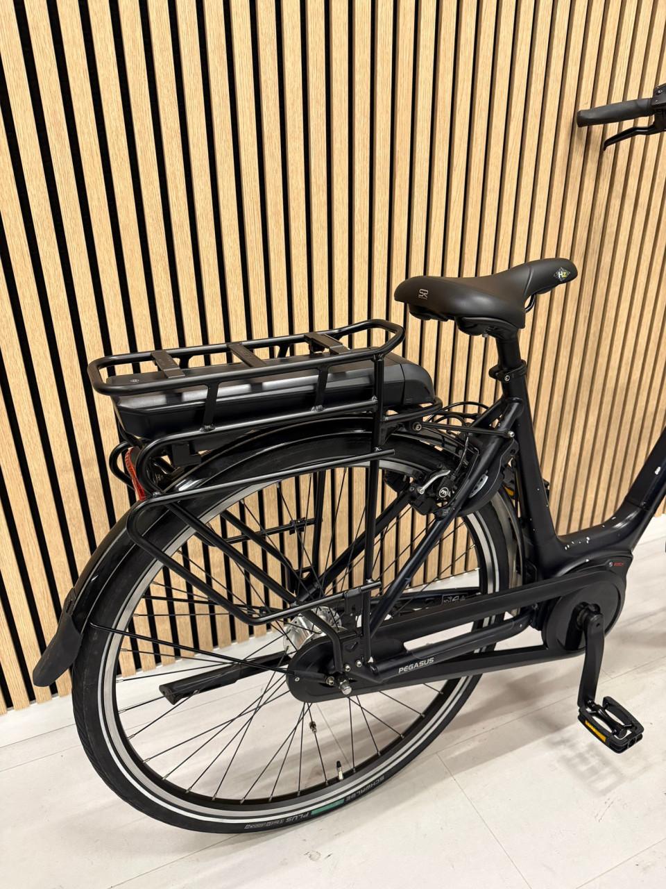 Pegasus Siena E7F Bosch Active Line Plus 50CM 400Wh 8873KM