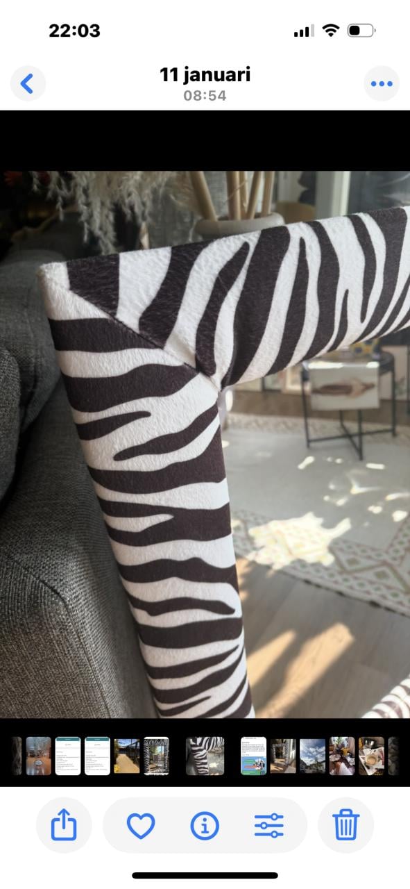 Spiegel in zebra- print omlijsting.