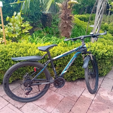 Mountainbike