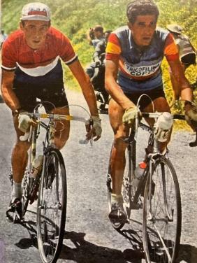 Collectie vintage racefietsen