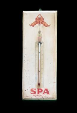 Spa thermometer