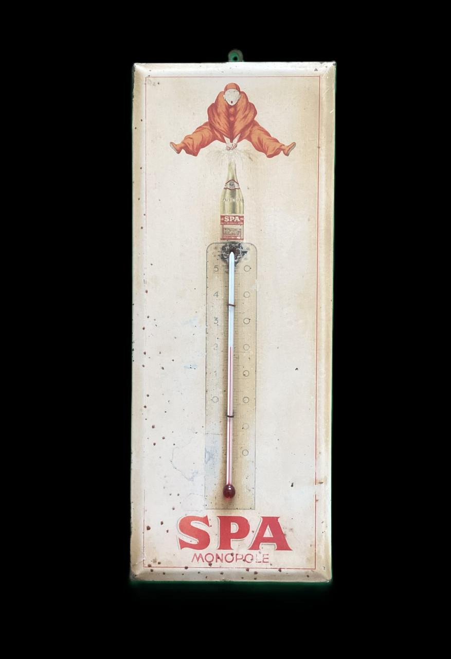 Spa thermometer