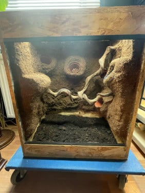 OSB terrarium