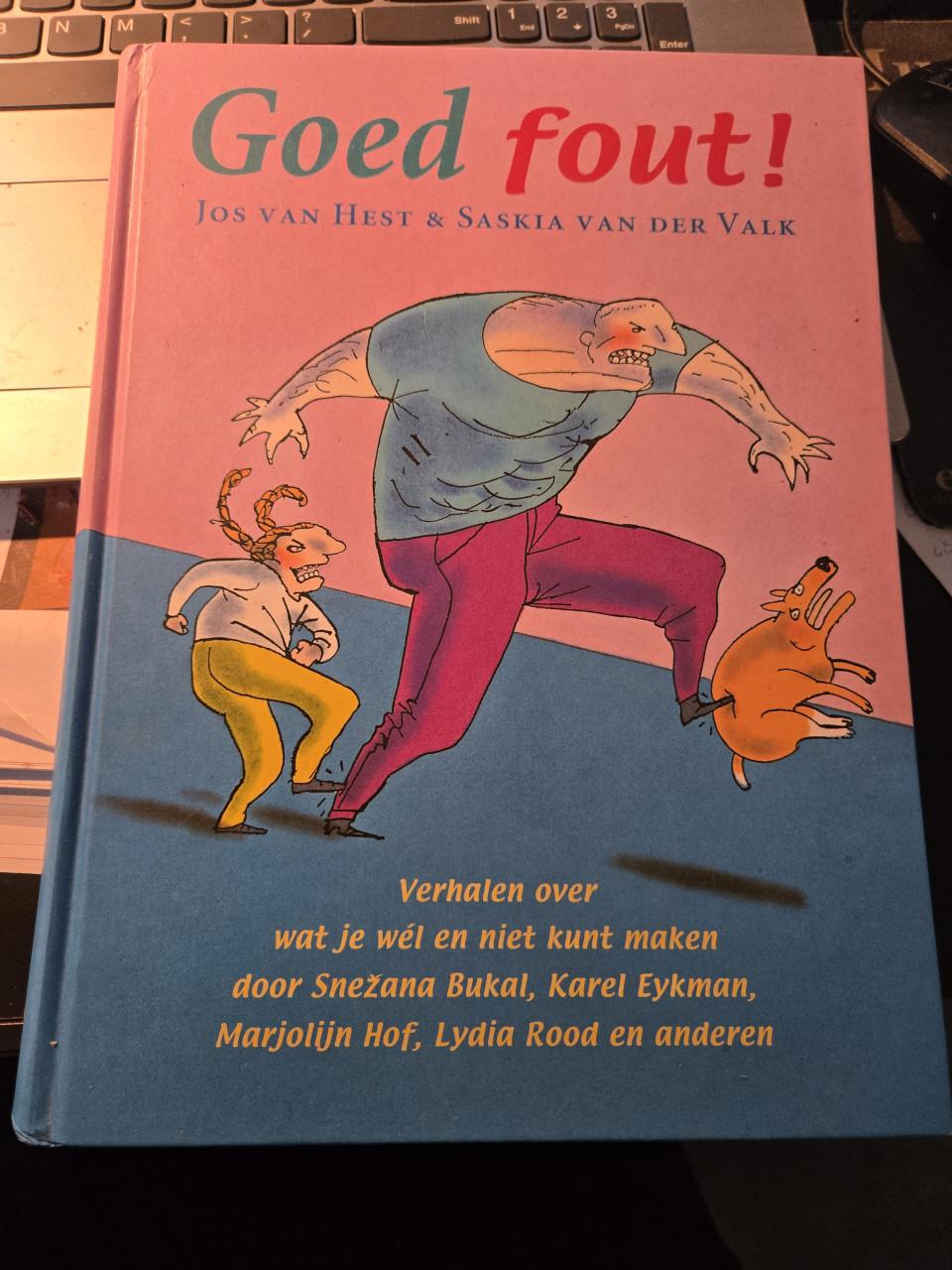 Boek: "Goed fout!" een verhalenbundel uit 2000