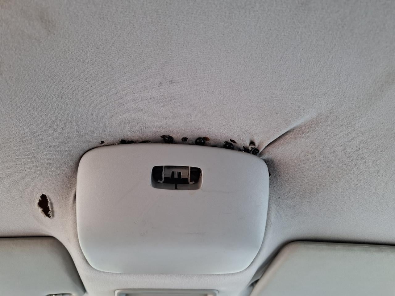 VW New Beetle jaar 1999