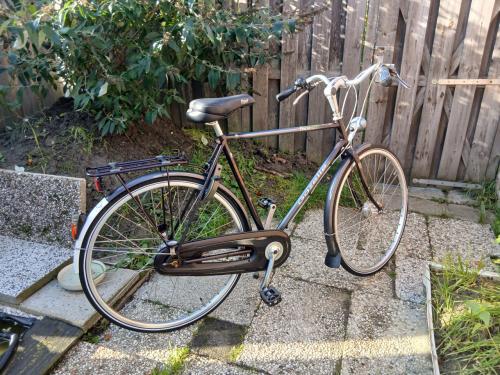Gazelle herenfiets Paris