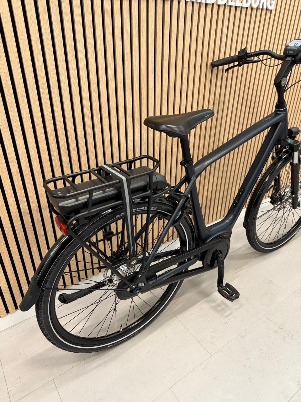 Pegasus Siena E7F Plus Bosch Active Line Plus 500Wh 55CM 5806KM