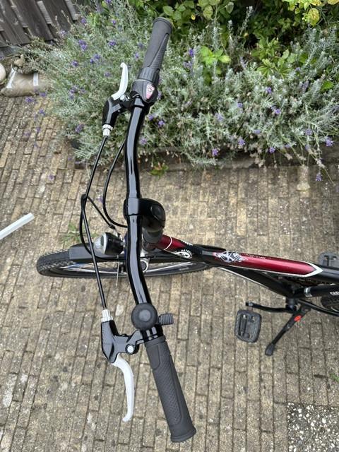 Jongensfiets Batavus Snake, 26 inch wielen, 3 Shimano naafversnelling