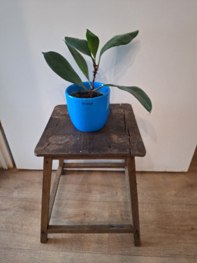 Decoratie