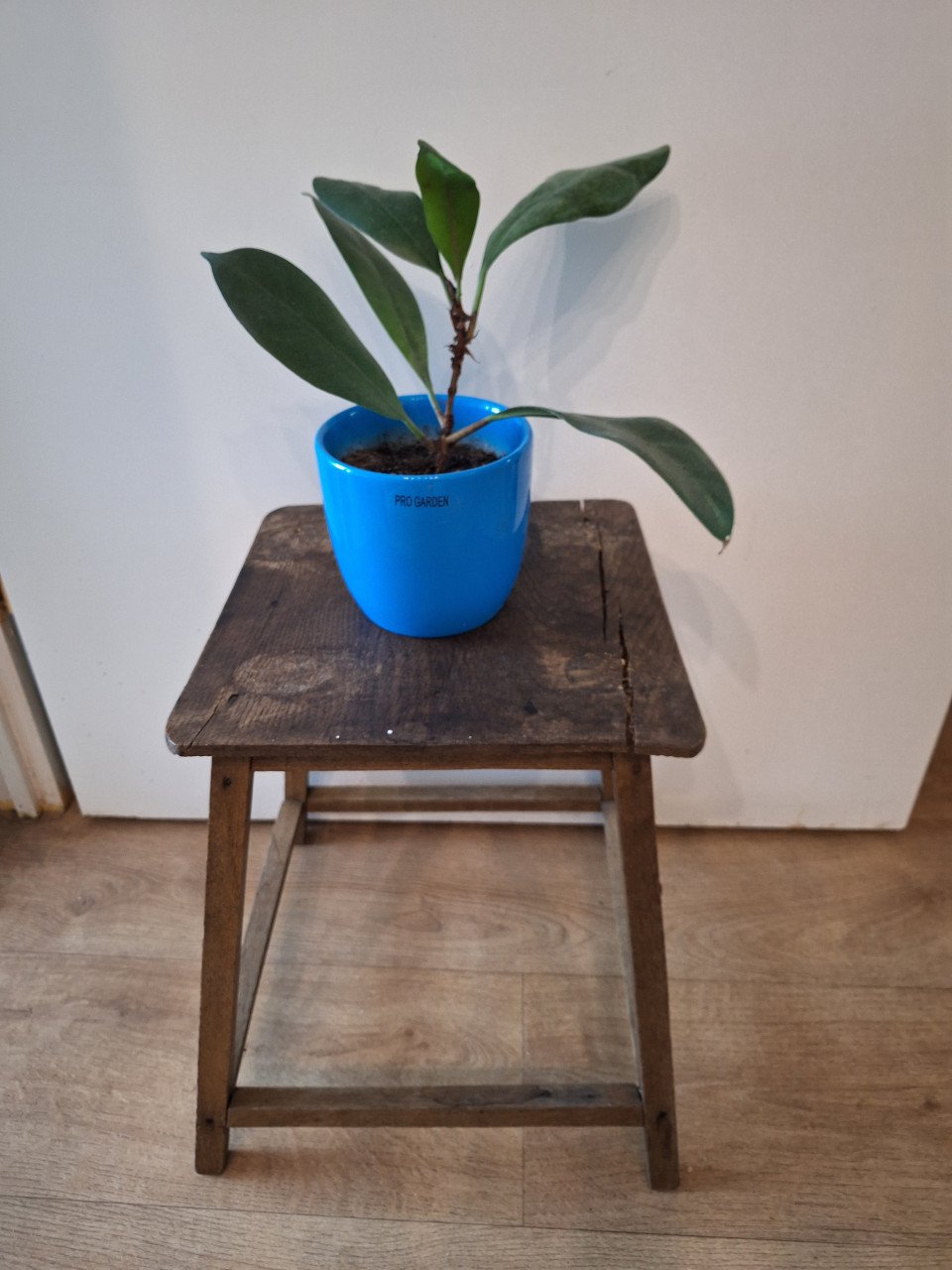Decoratie