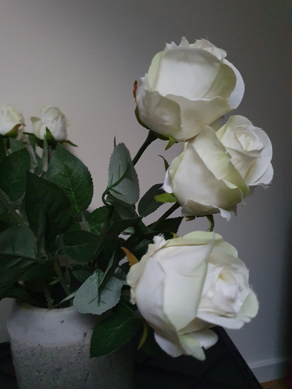 Kunst planten en takken