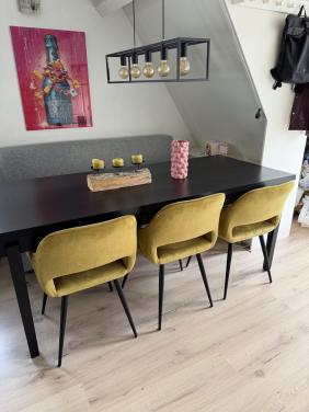 Eetkamer stoelen