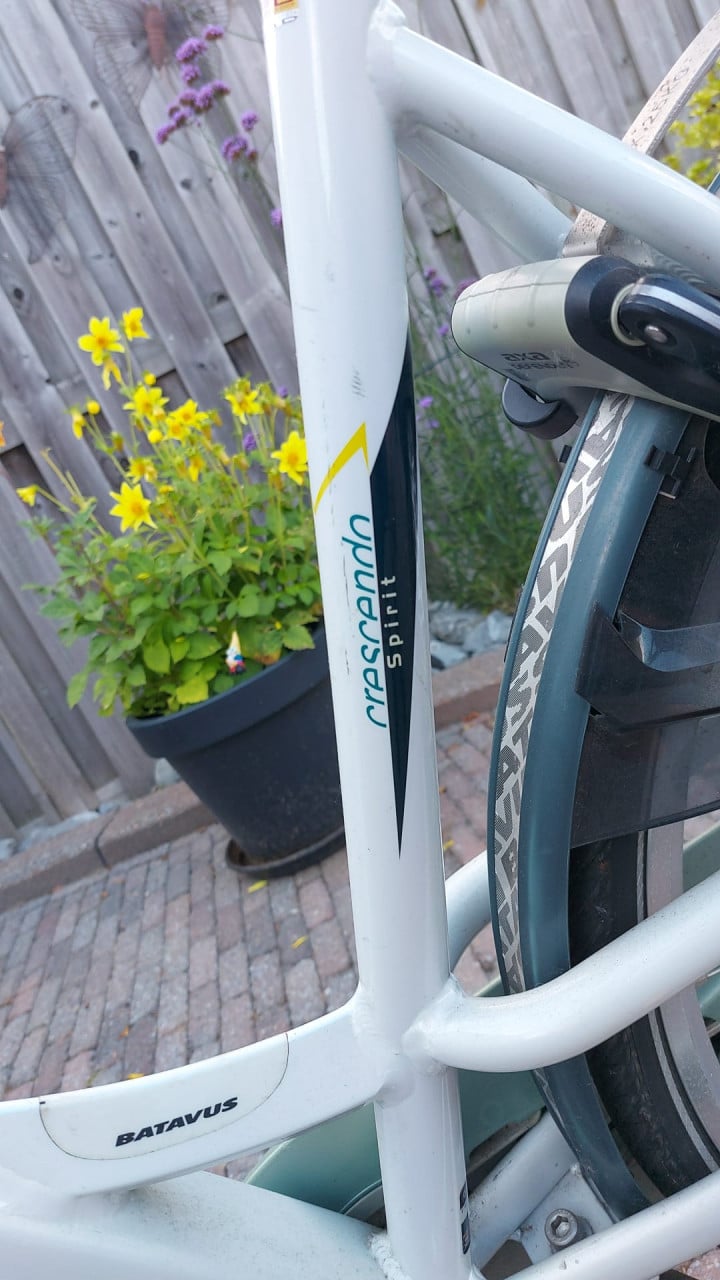Damesfiets Batavus 53 cm