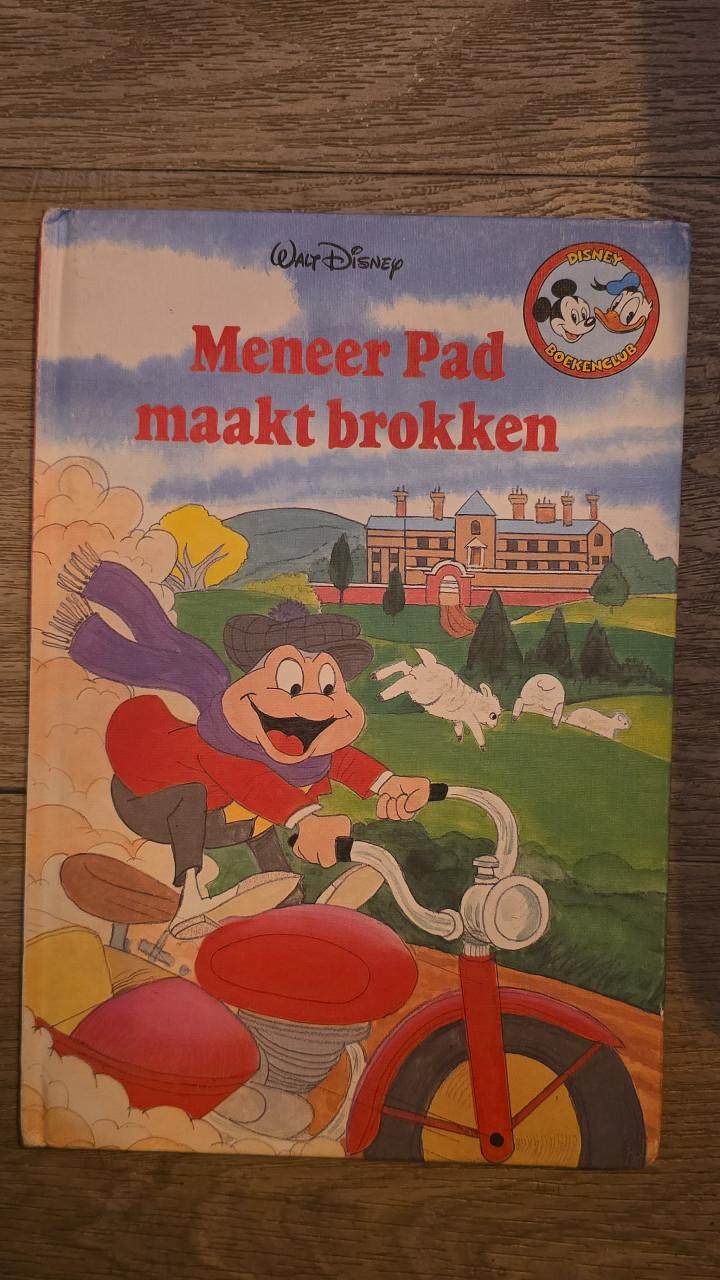 Meneer pad maakt brokken