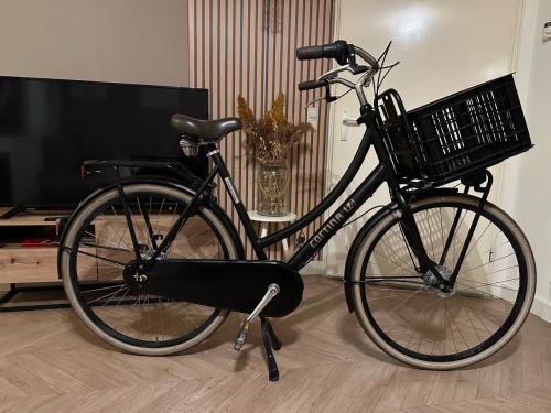 Cortina U4 dames fiets