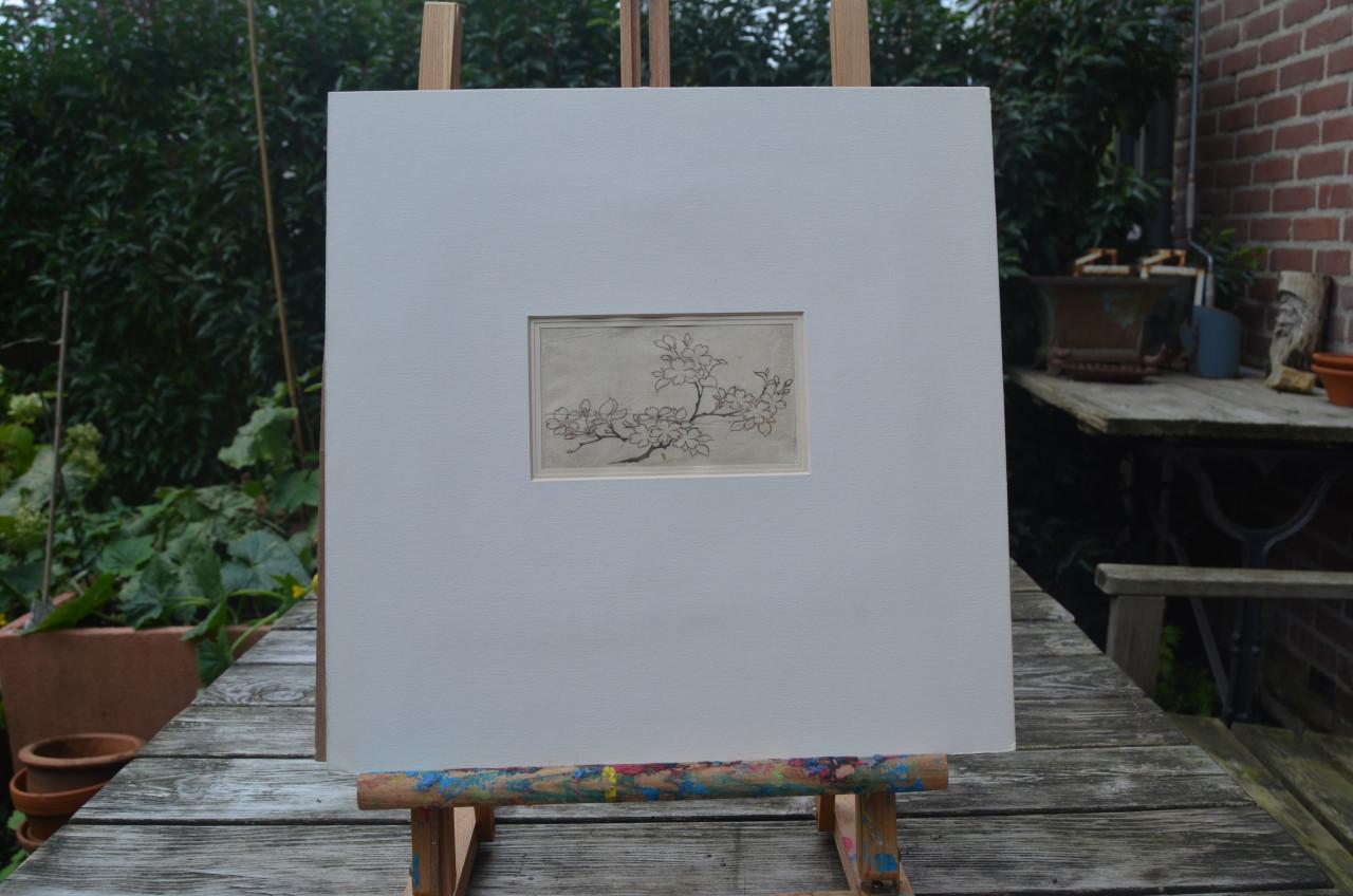 Schitterende oude Japanse tekeningen in passe-partout (3)