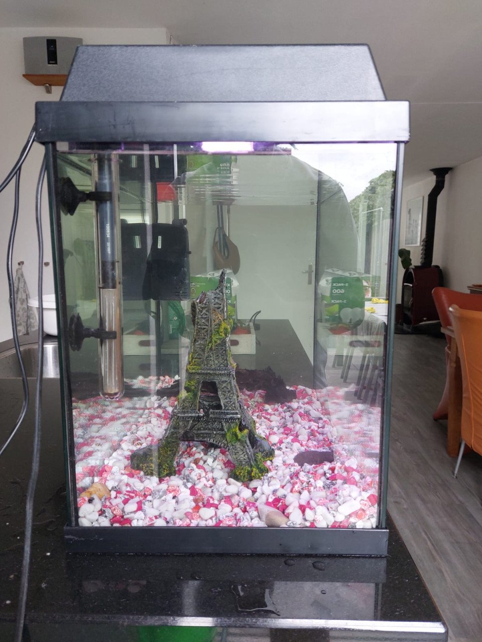 Juwel Monolux 60 aquarium