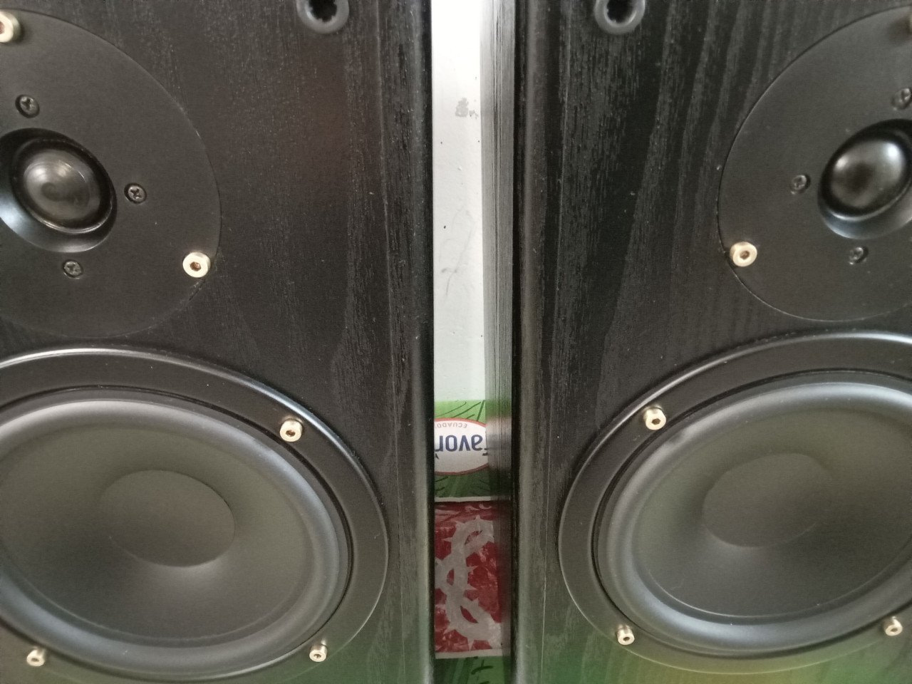 Sony Brooklands Edition Speakers