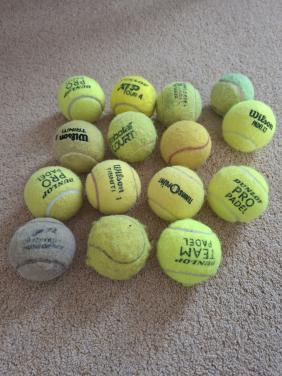 15 ballen voor de hond