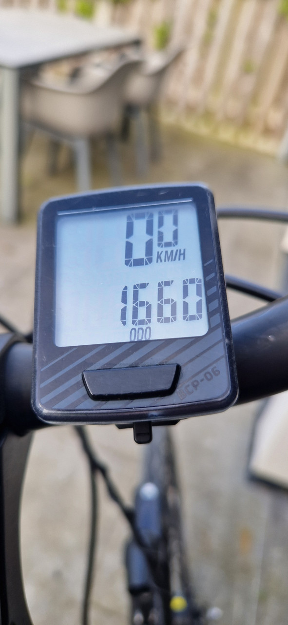 Herenfiets Gazelle Chamonix C8