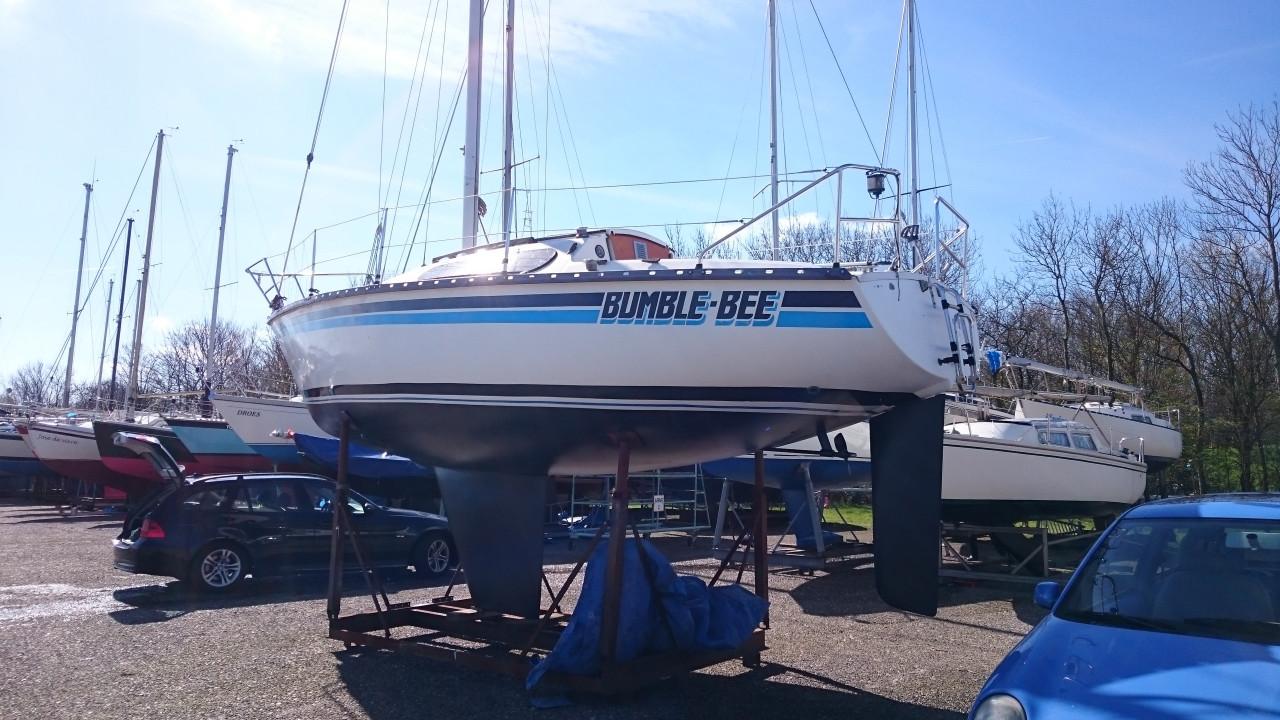 Te koop Kajuitzeiljacht Kelt 800, vaarklaar