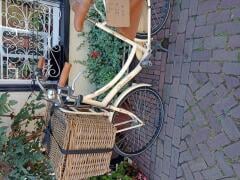 Dames fiets