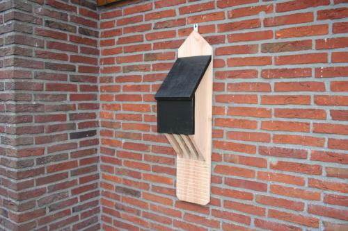 Vleermuizenkast