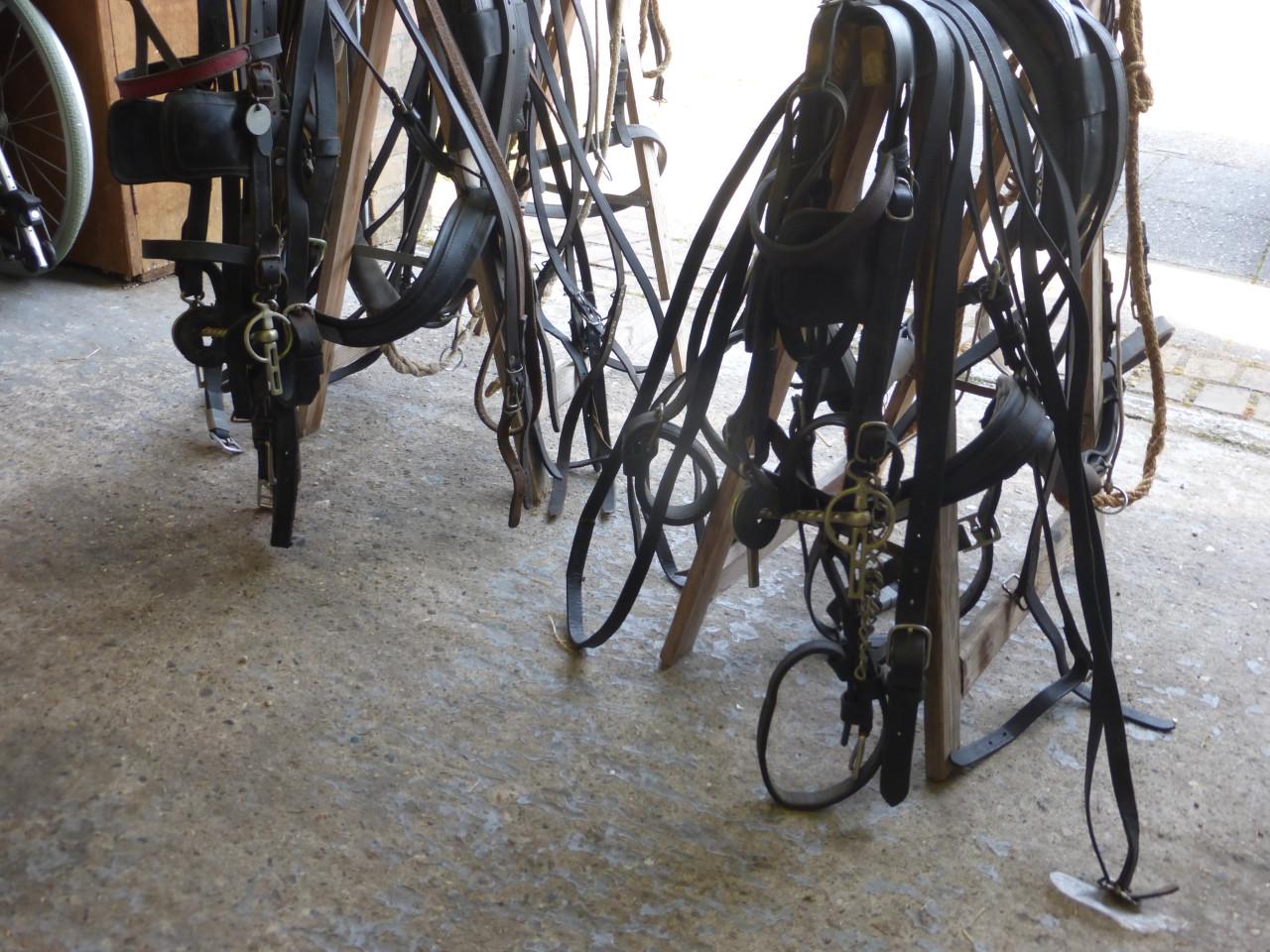 Pony tuig shetlander