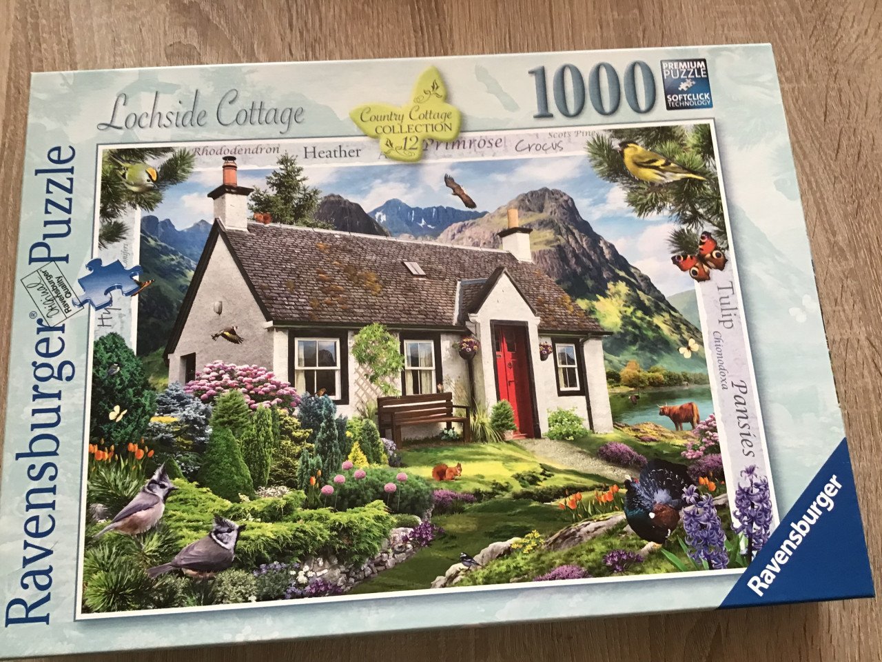 Legpuzzels Ravensburger