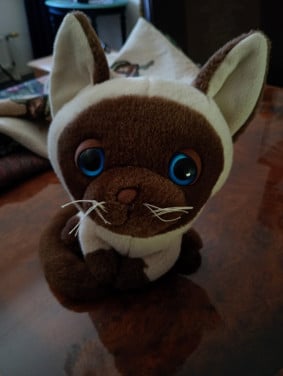 Poes van pluche