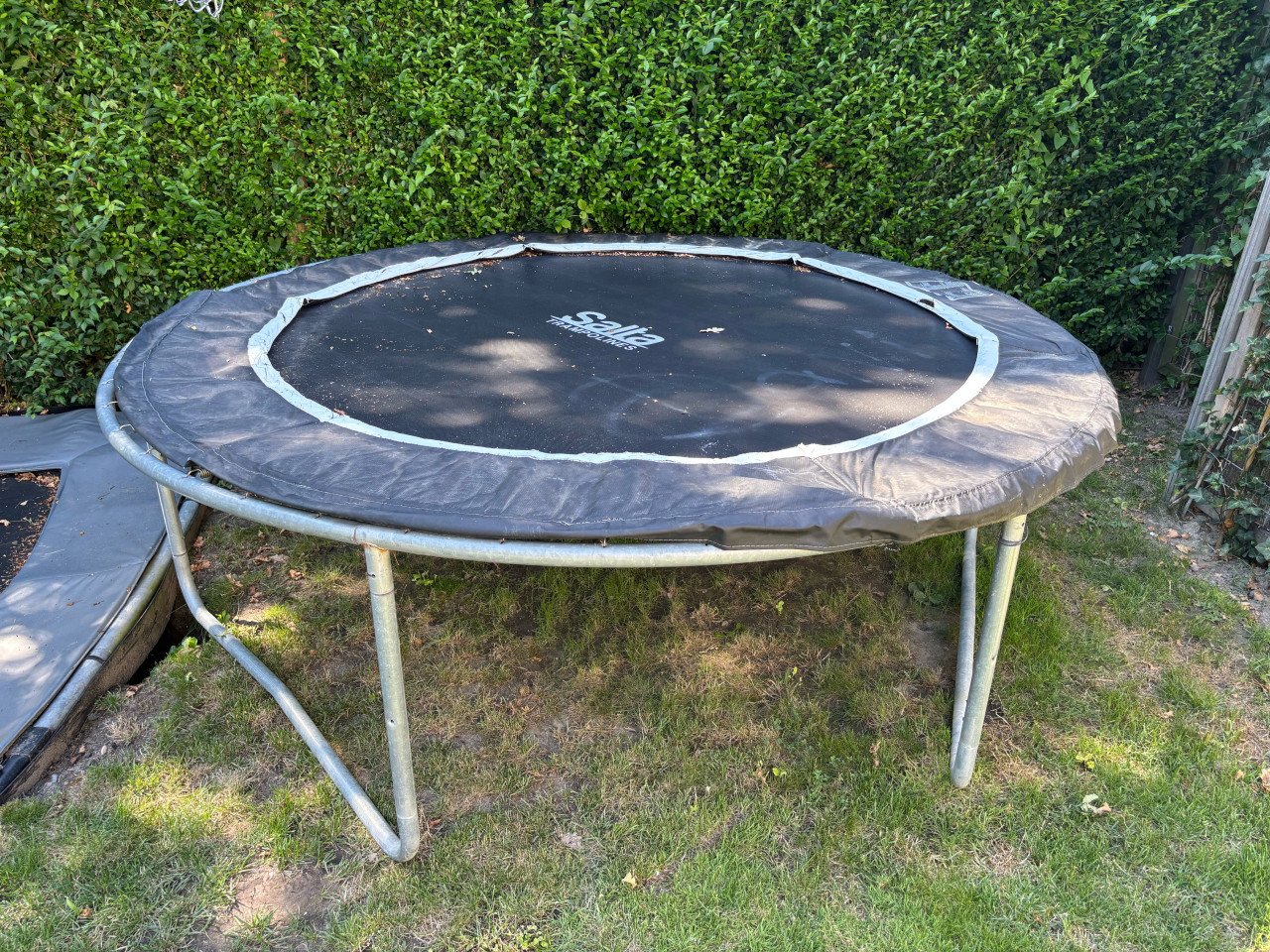 Trampoline