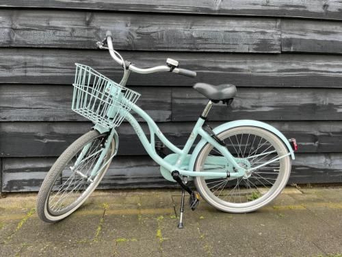 Alpina kinderfiets meisjes