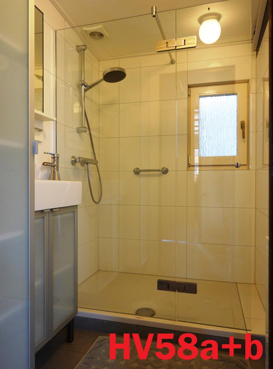 Edelweisz L-chalet met hardhouten kozijnen met dubbel glas en CV te koop