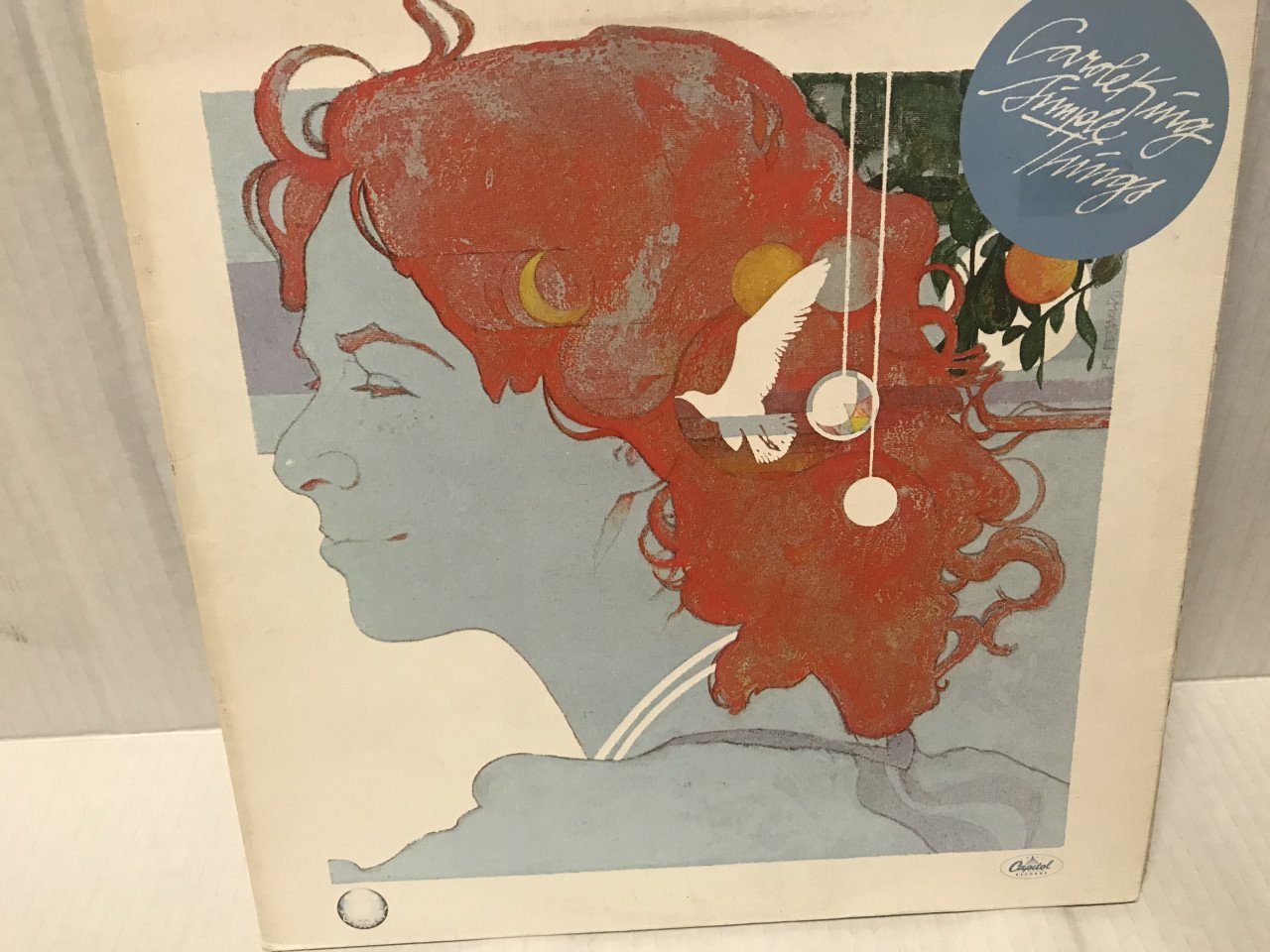 Veel LP,s…Rock Pop enz