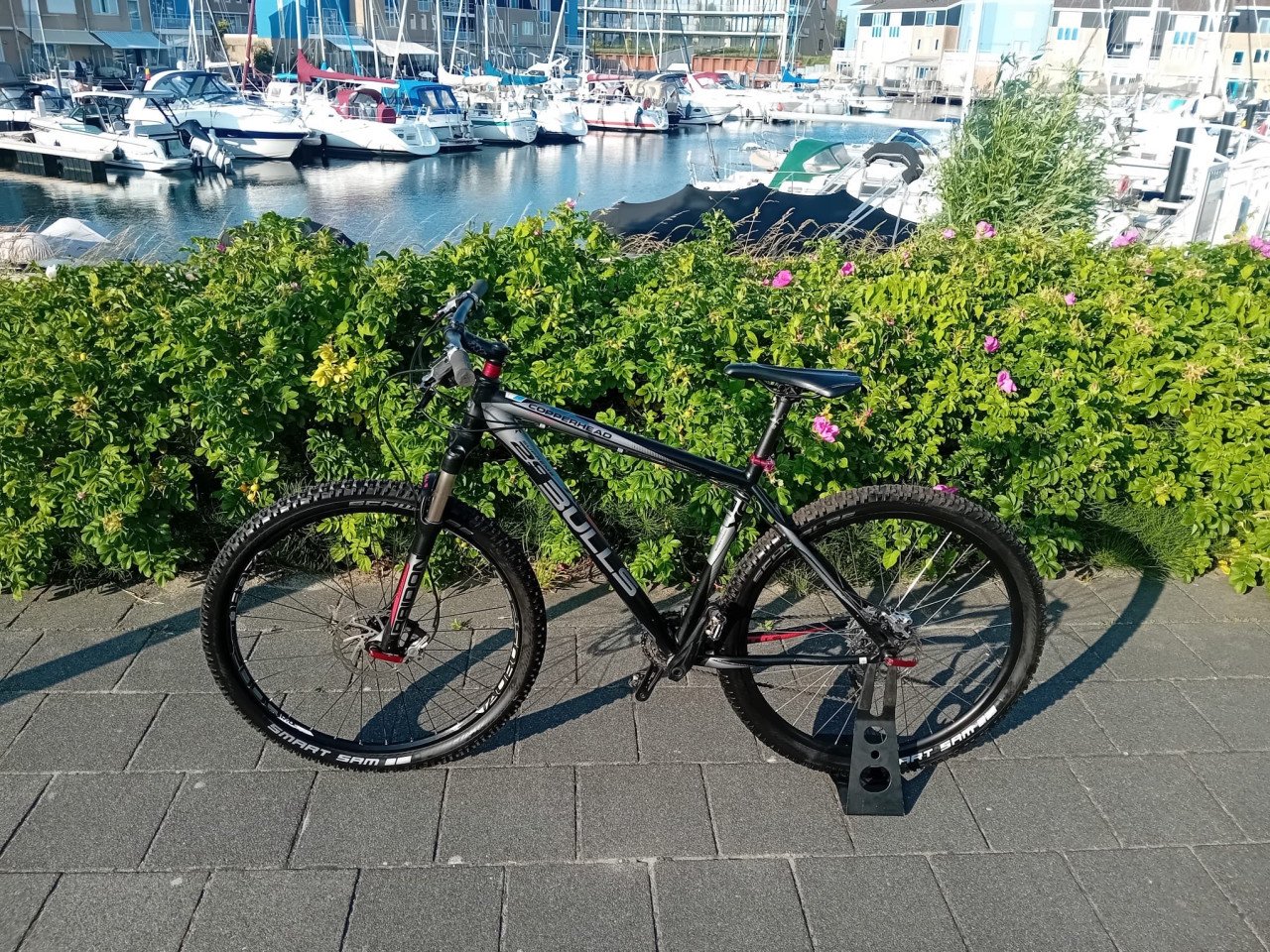 Stoere BULLS MTB 29er