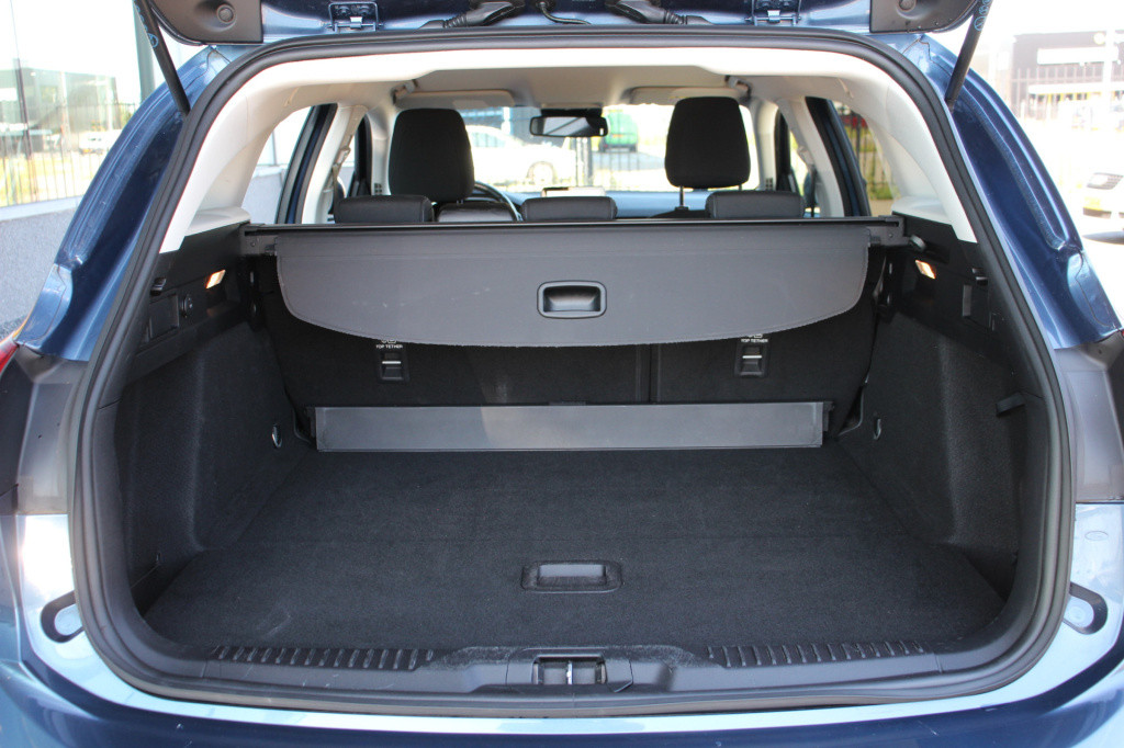 Ford Focus wagon 1.5 ecoboost active business | navi | acc | camera