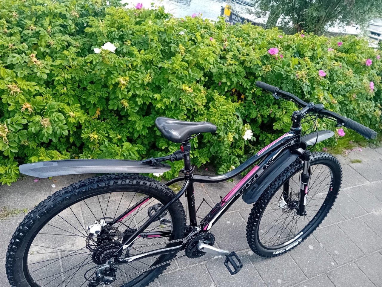 Stoere TREK dames MTB Z.G.A.N.