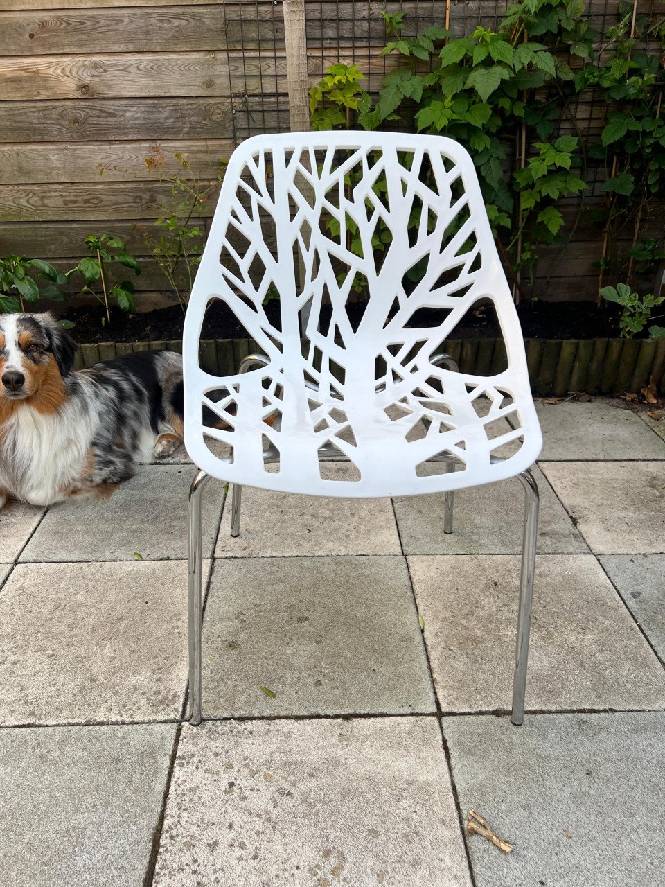 2 witte stoelen of 2 groene stoelen