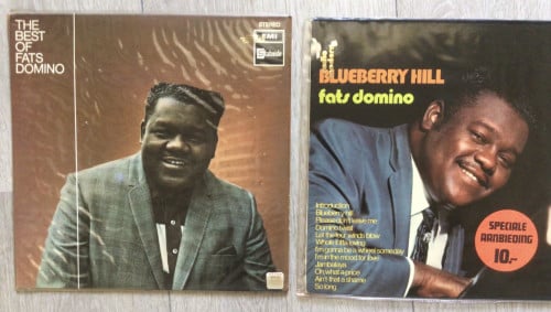 Vinyl Fats Domino