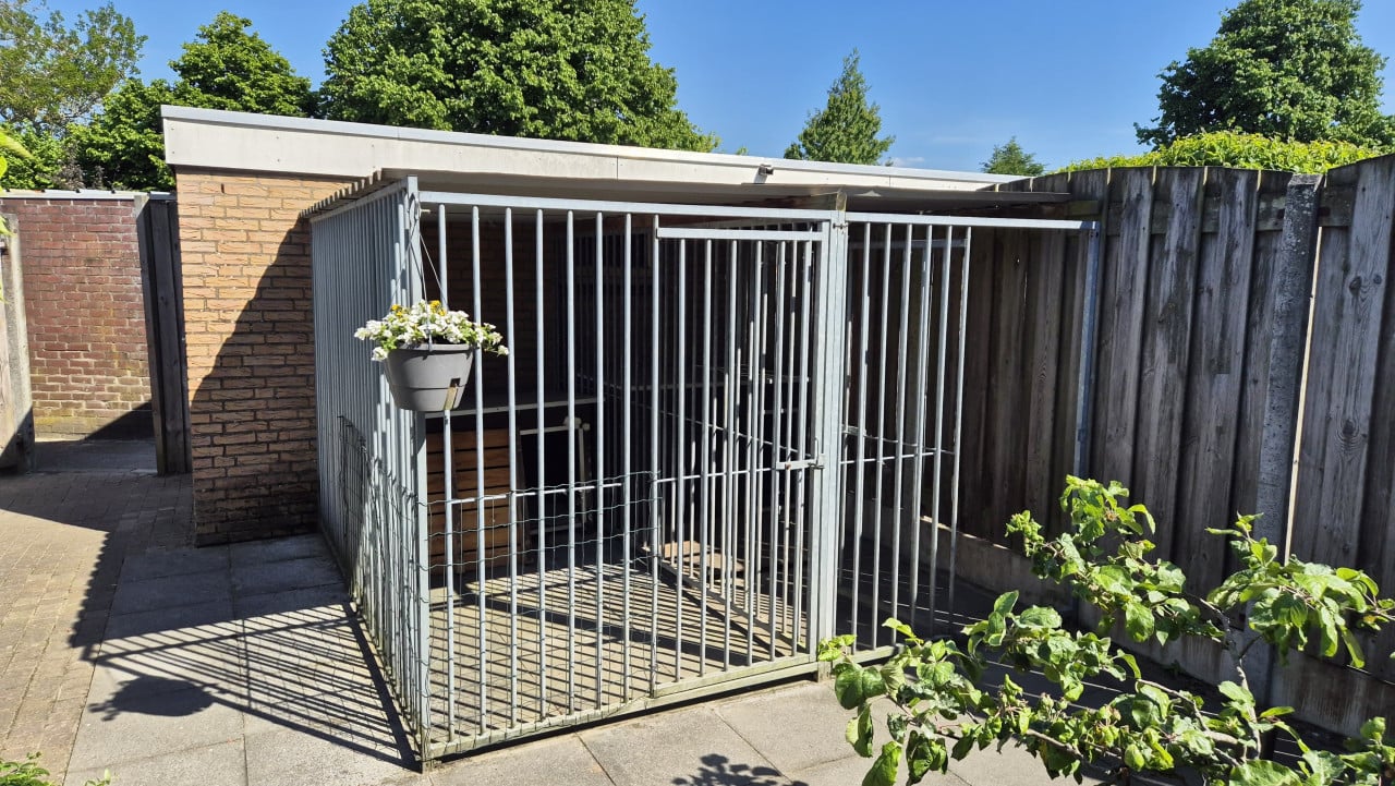 Dubbele hondenkennel met nachthokken