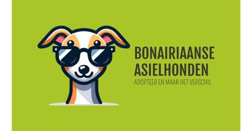 Gastgezinnen voor honden vanuit Bonaire