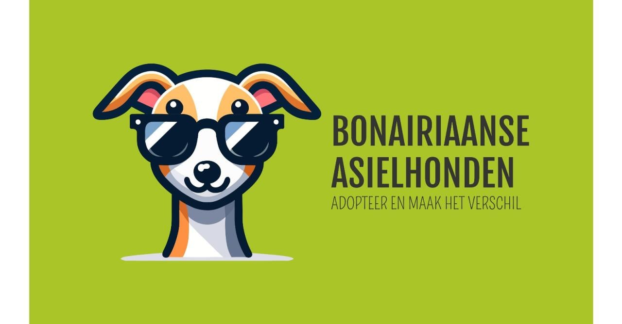 Gastgezinnen voor honden vanuit Bonaire