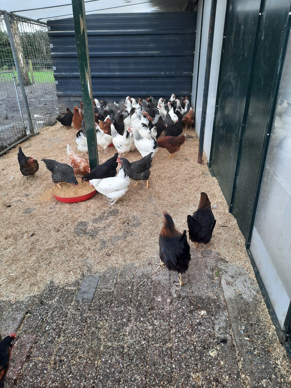 Maandag 2e pinksterdag geopend van 10-16 uur.
