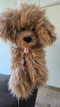 🥰 Heeeeeeeele lange Bedknuffel Hond (HEMA).