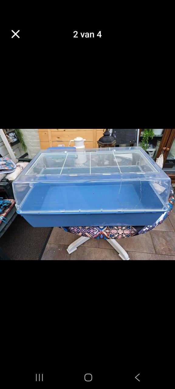 Caviakooi 70 x 45
